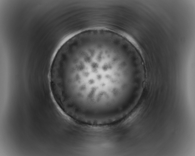 X0000087340951200704201143