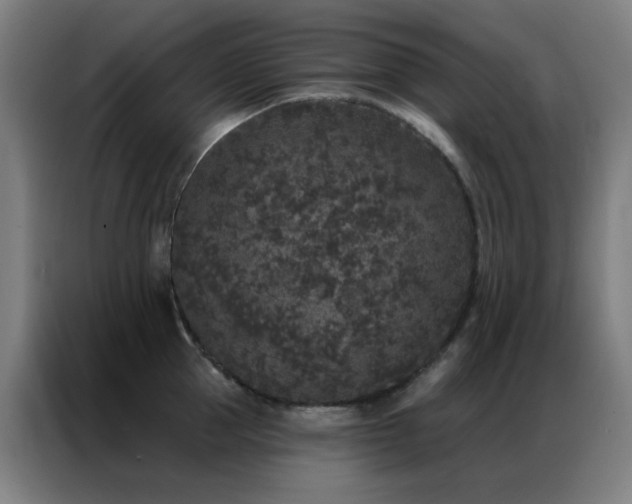 X0000087340953200704201143