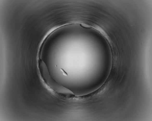 X0000087340955200704201143
