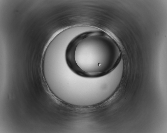 X0000087340956200704201143
