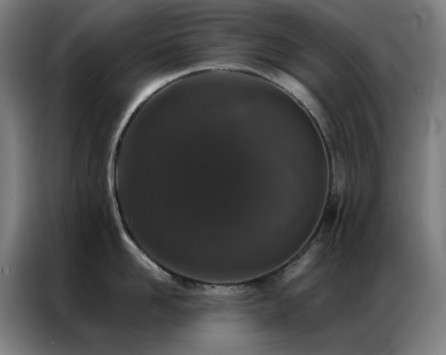 X0000087340958200704201143