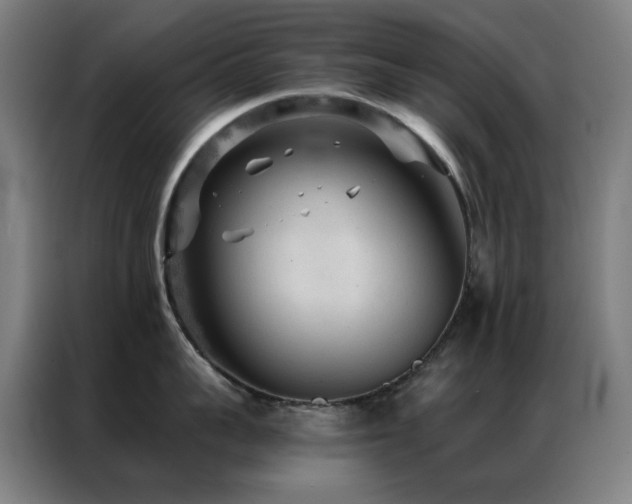 X0000087340959200704201143
