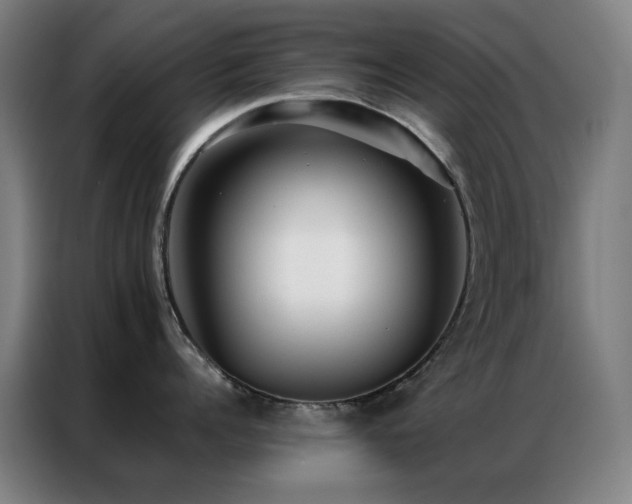 X0000087340960200704201143
