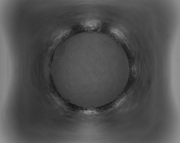 X0000087340961200704201142