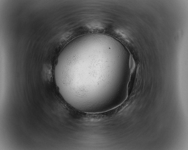 X0000087340963200704201142