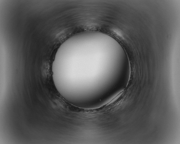 X0000087340964200704201142
