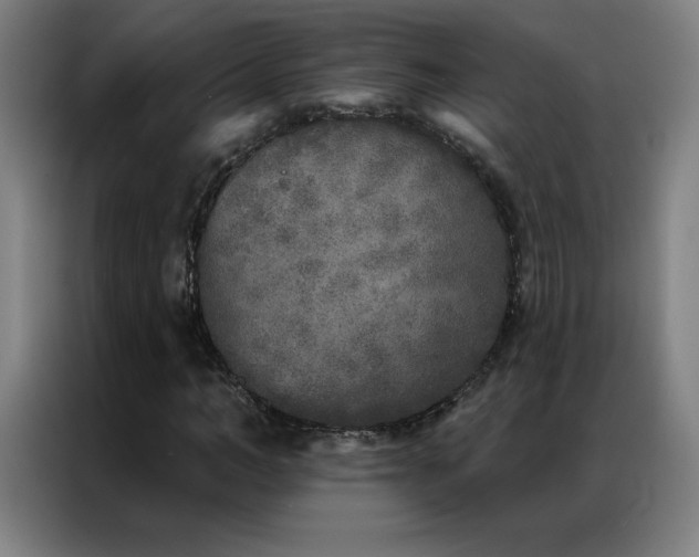 X0000087340966200704201142