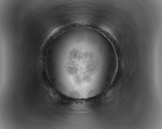 X0000087340968200704201142