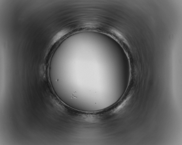 X0000087340970200704201142
