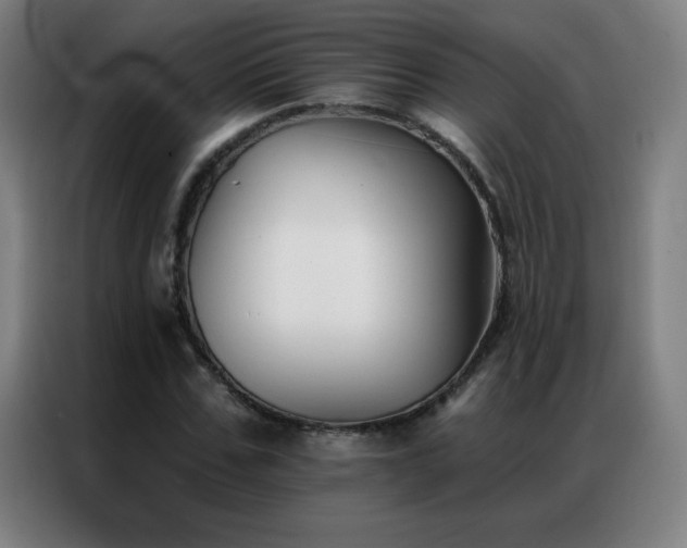 X0000087340971200704201142