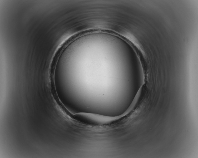 X0000087340972200704201142