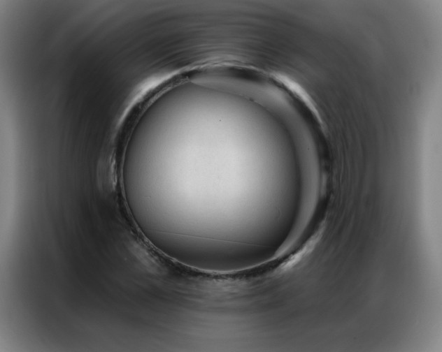 X0000087340973200704201142