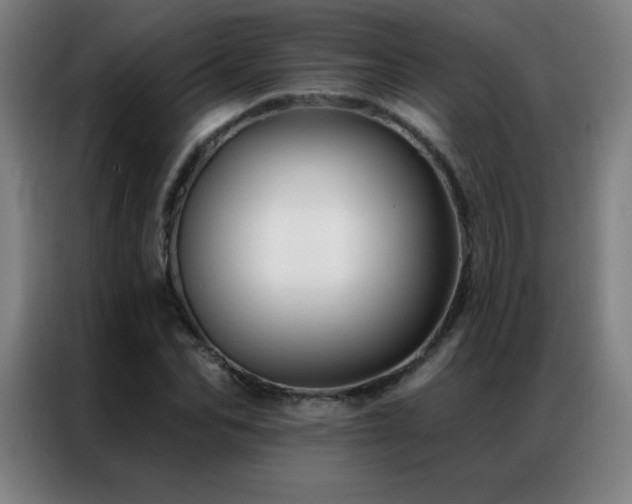 X0000087340974200704201142