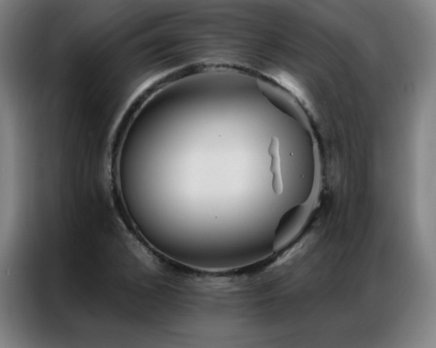 X0000087340976200704201142