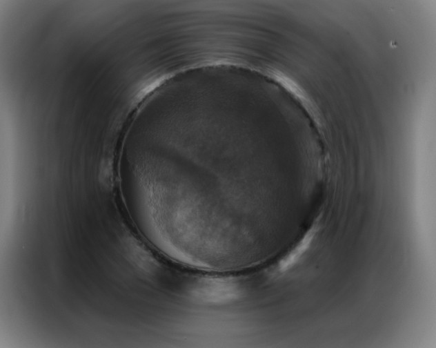 X0000087340977200704201142