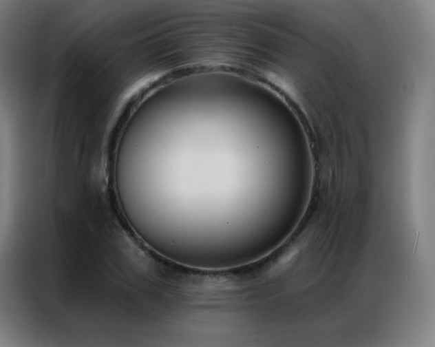X0000087340979200704201142