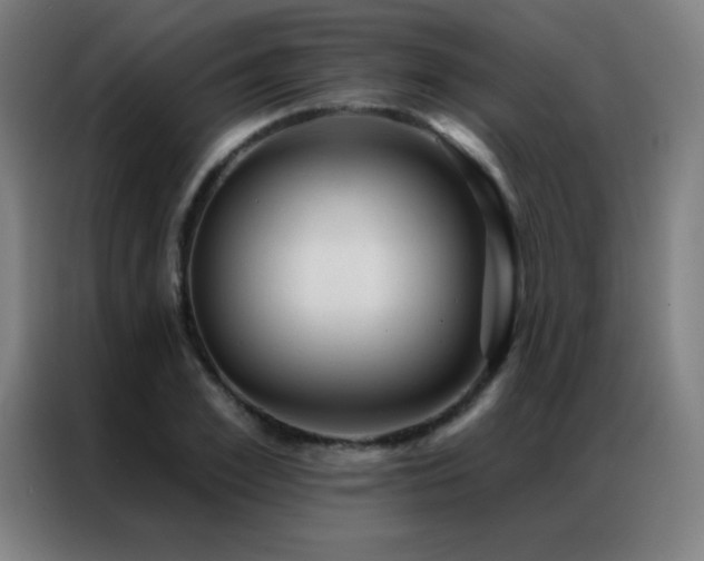 X0000087340981200704201142