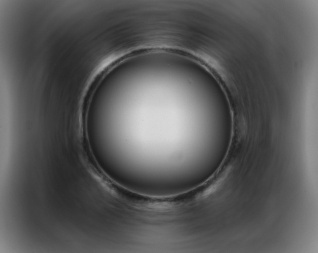 X0000087340982200704201142