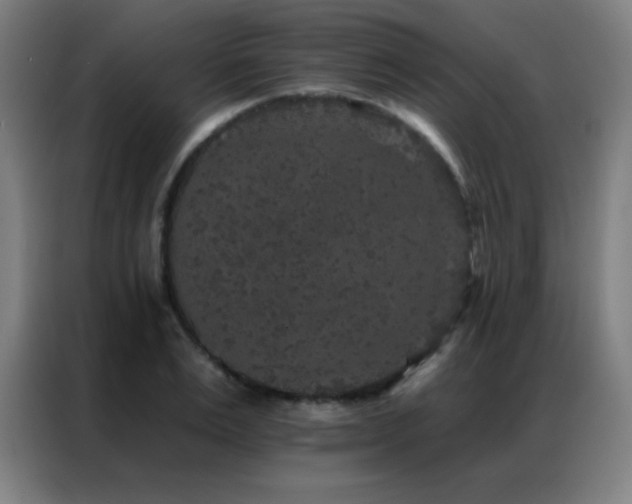X0000087340983200704201142