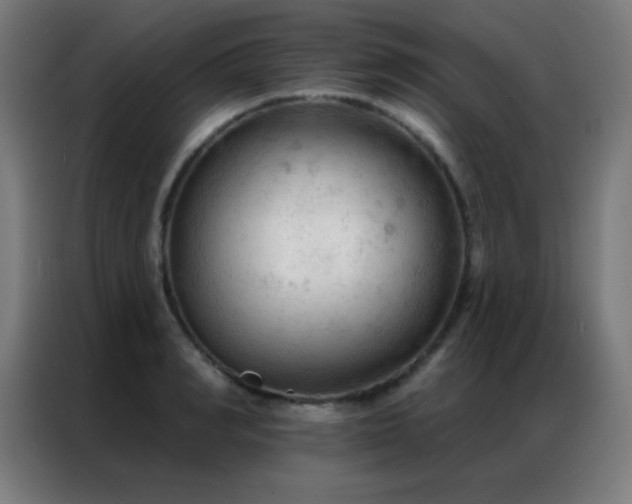 X0000087340990200704201142