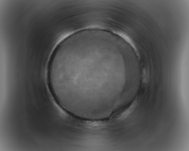 X0000087340991200704201142