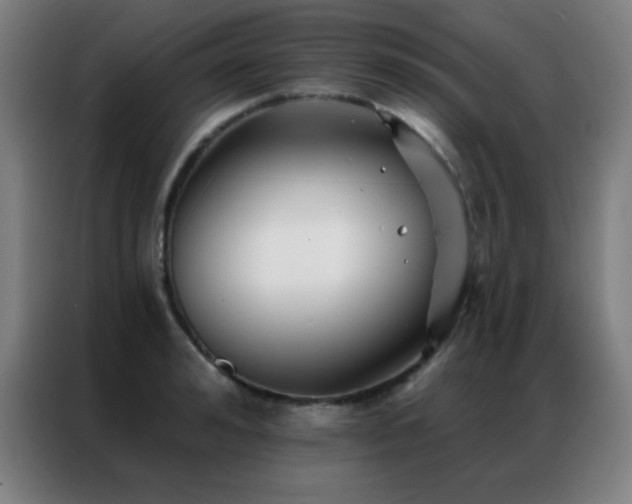 X0000087340992200704201142