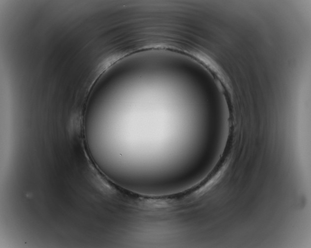 X0000087340993200704201142
