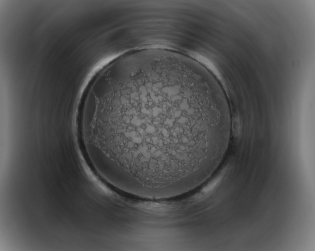 X0000087340995200704201142