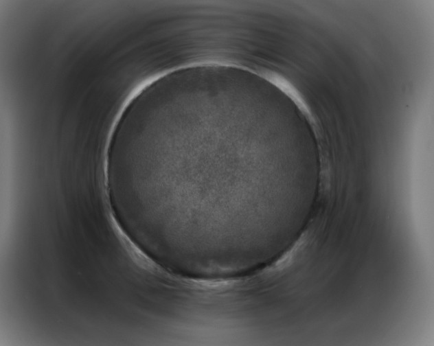 X0000087340996200704201142