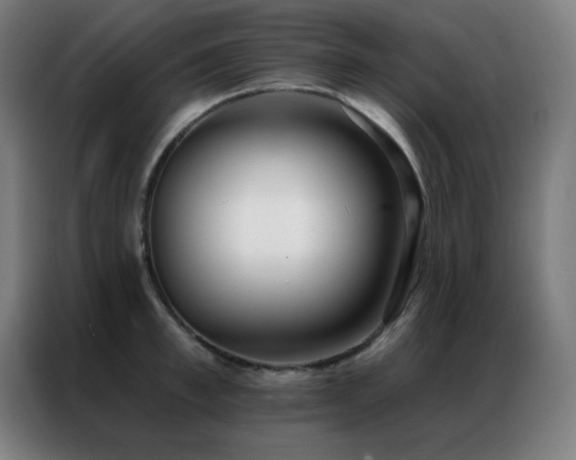 X0000087340997200704201142