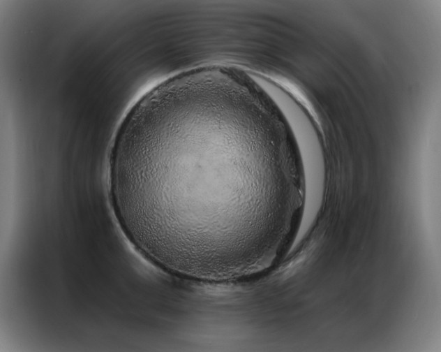 X0000087340999200704201142
