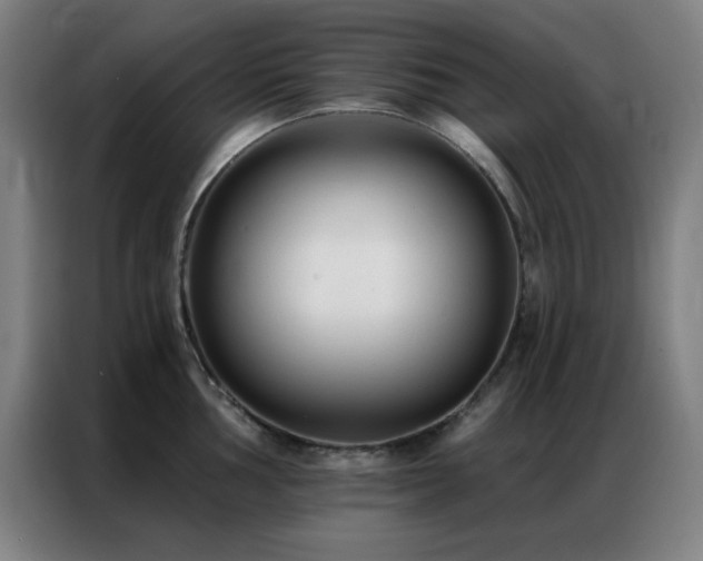 X0000087341002200704201142