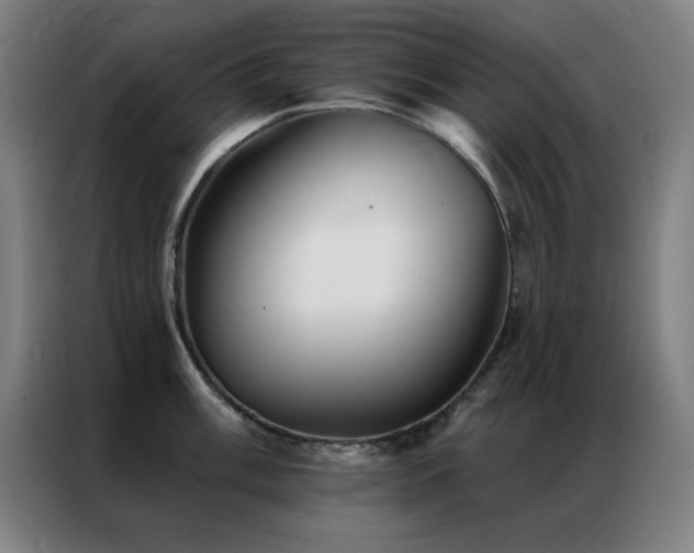 X0000087341003200704201142