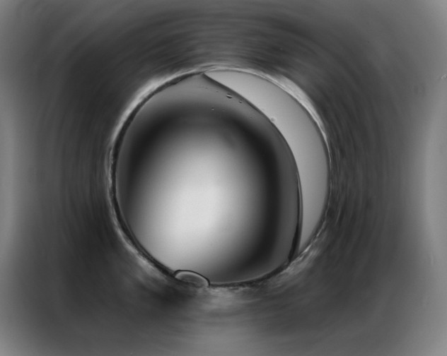X0000087341005200704201142