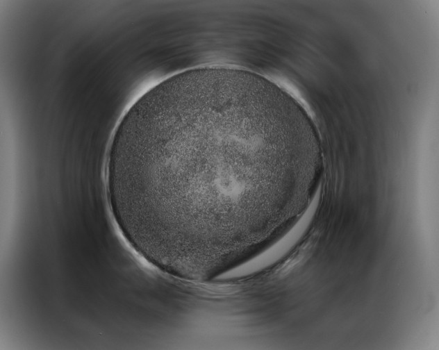 X0000087341007200704201142