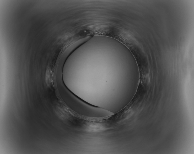 X0000087341010200704201141