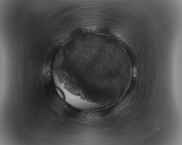X0000087341011200704201141