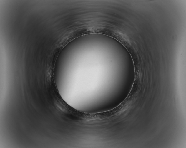 X0000087341012200704201141