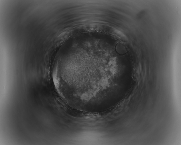 X0000087341013200704201141
