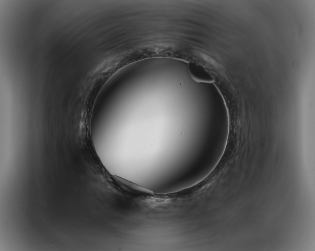 X0000087341014200704201141