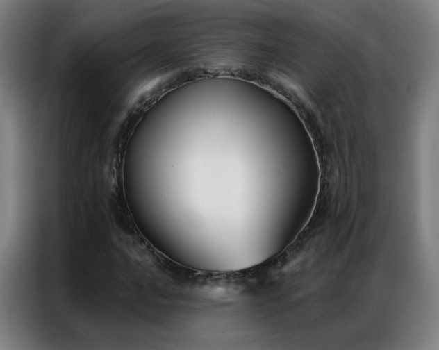 X0000087341016200704201141