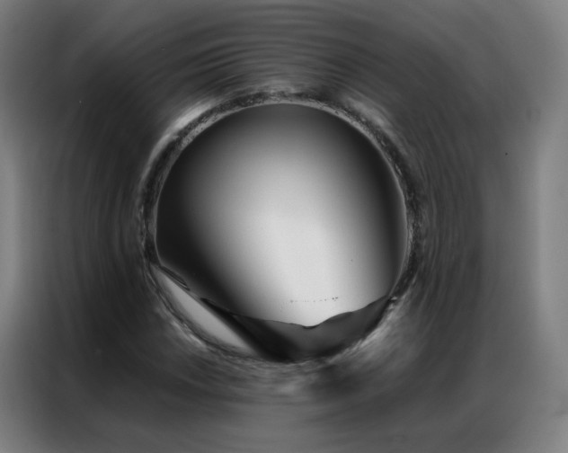 X0000087341018200704201141