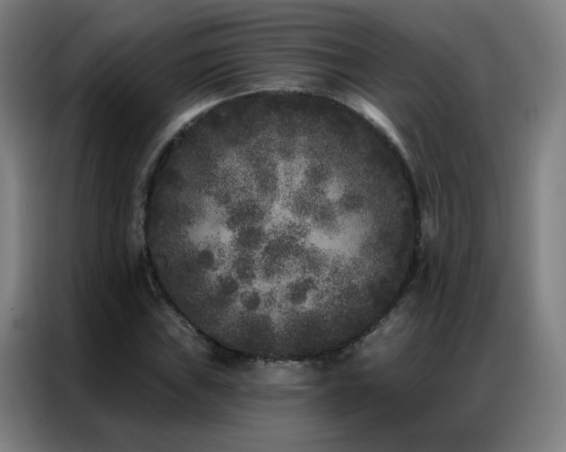 X0000087341019200704201142