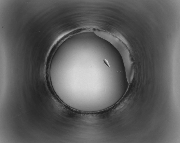X0000087341020200704201142