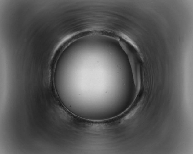 X0000087341021200704201142