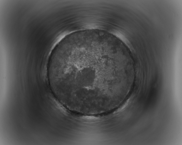 X0000087341023200704201142