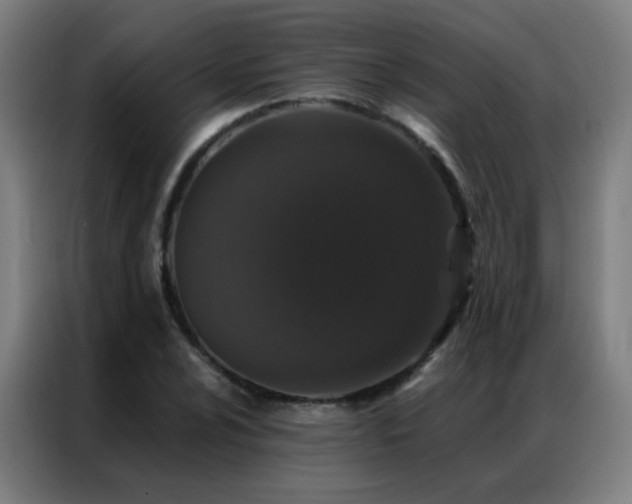 X0000087341024200704201142