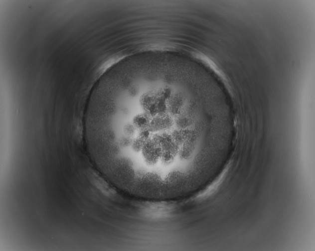 X0000087341025200704201142