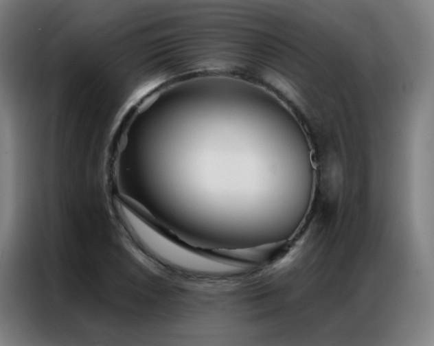 X0000087341026200704201142