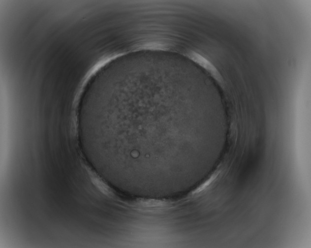 X0000087341027200704201142